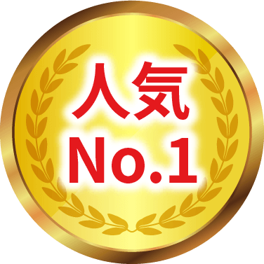 人気 No.1