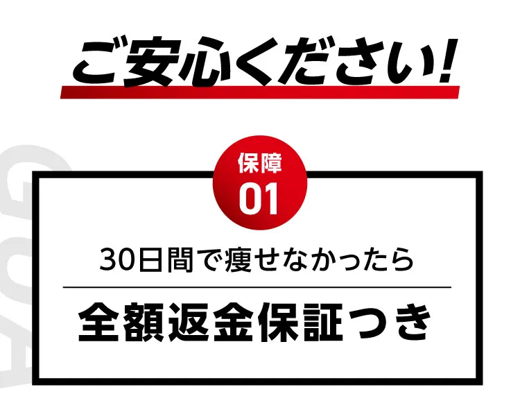 全額返金保証付き