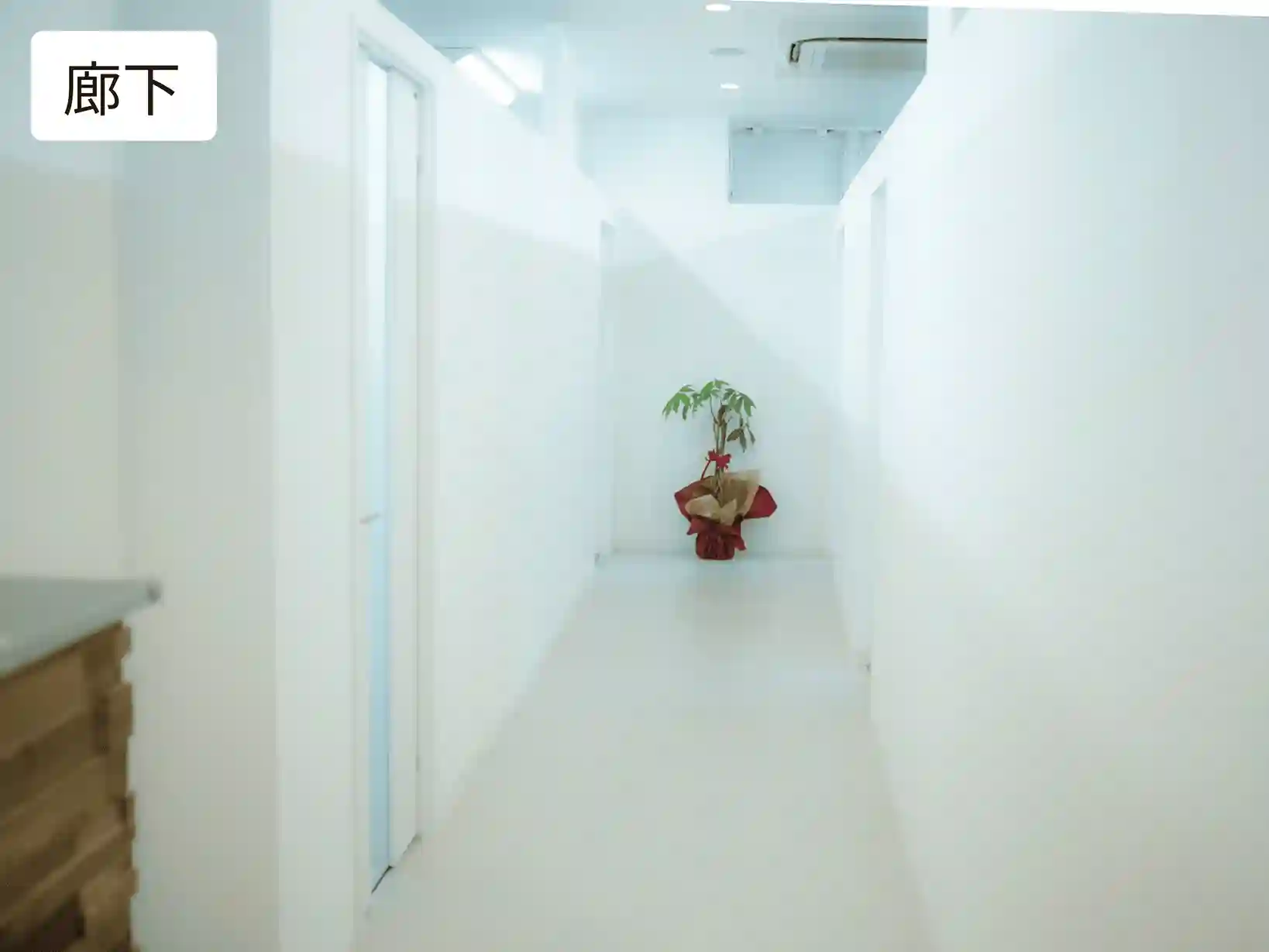 パーソナルジム リタスタイル小倉店　廊下の写真